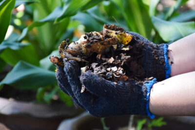 Home composting can be a fun and educational activity.