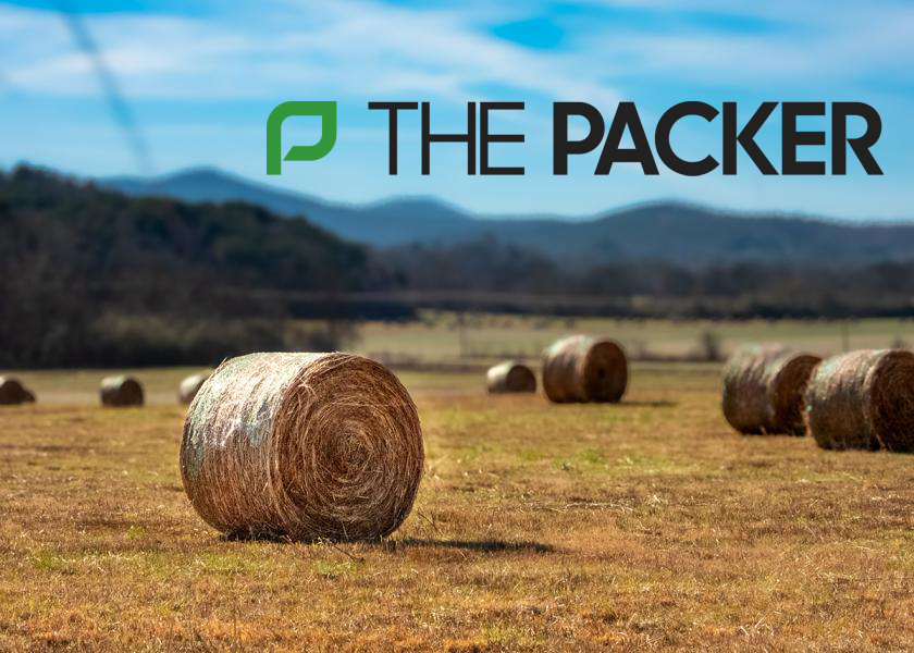 The Packer: Compostable solution uses grasses to create molded-fiber packaging