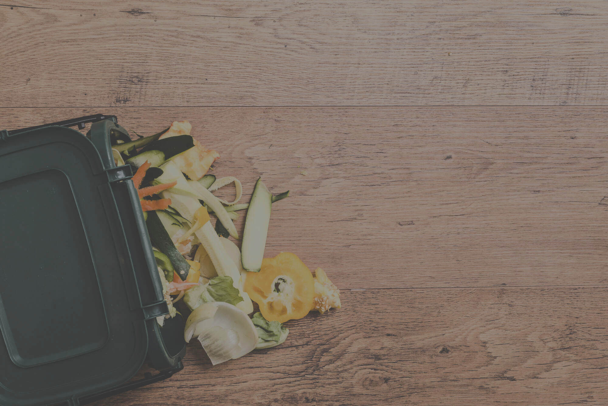 The State Of Composting In The United States